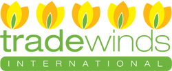 Tradewinds International