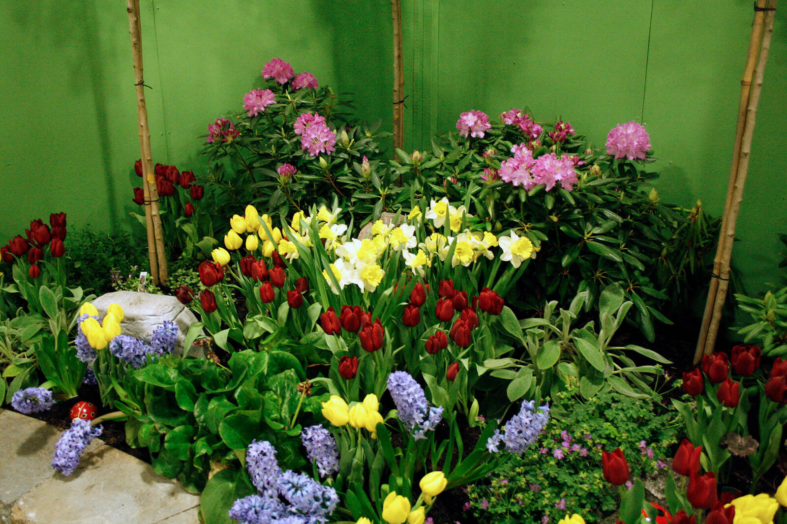 Flowers in a garden