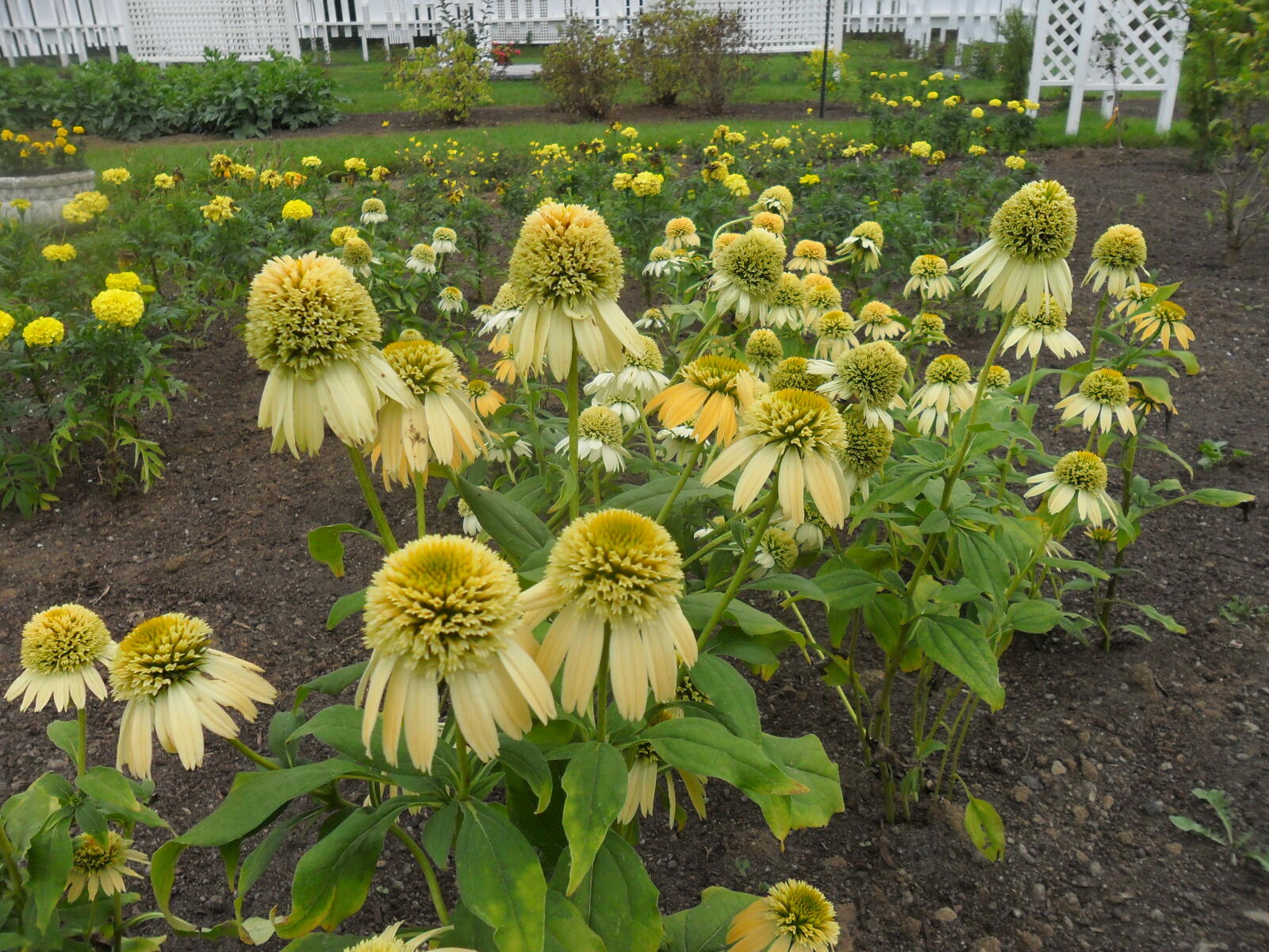 Quinte Botanical Garden