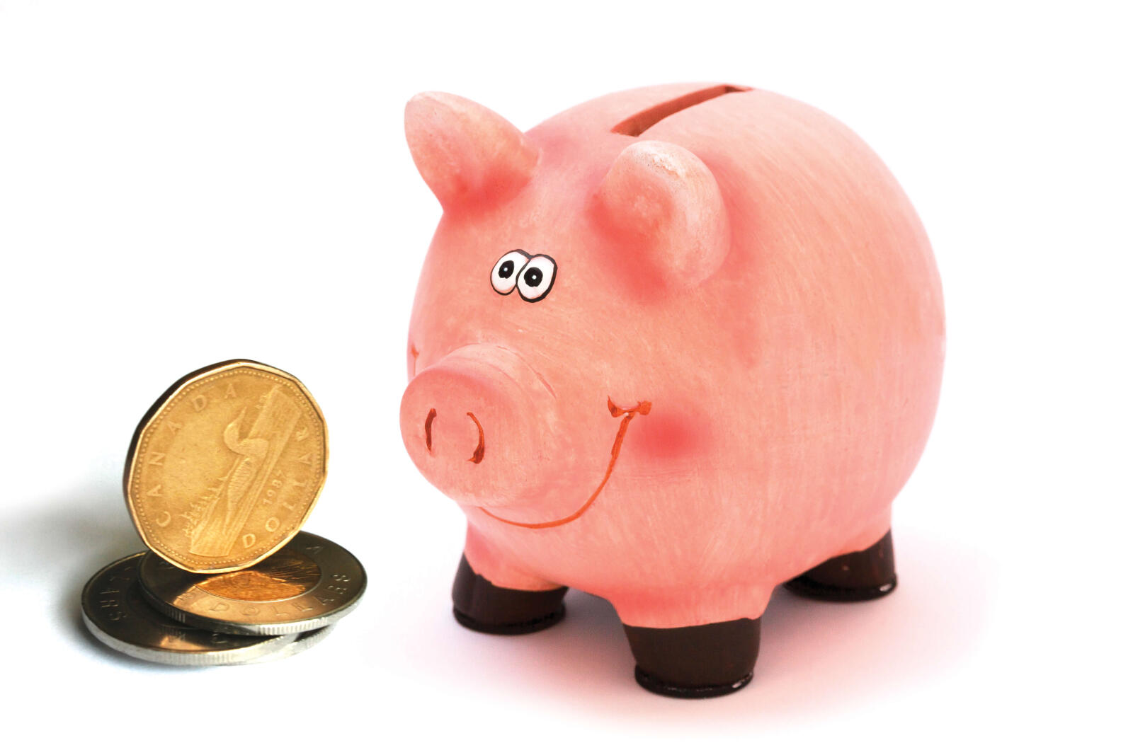 piggy bank