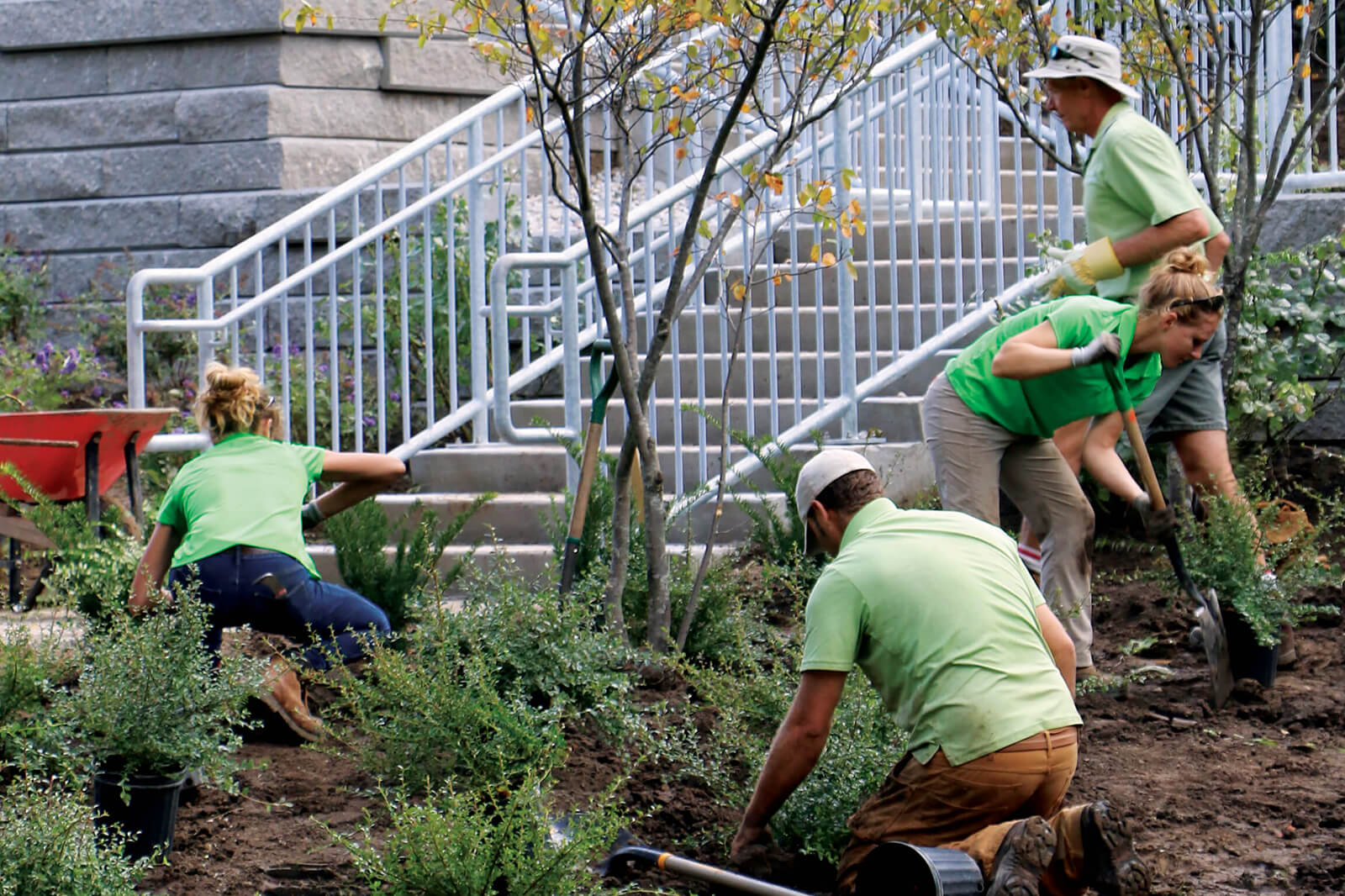 volunteers planting trees and shrubs