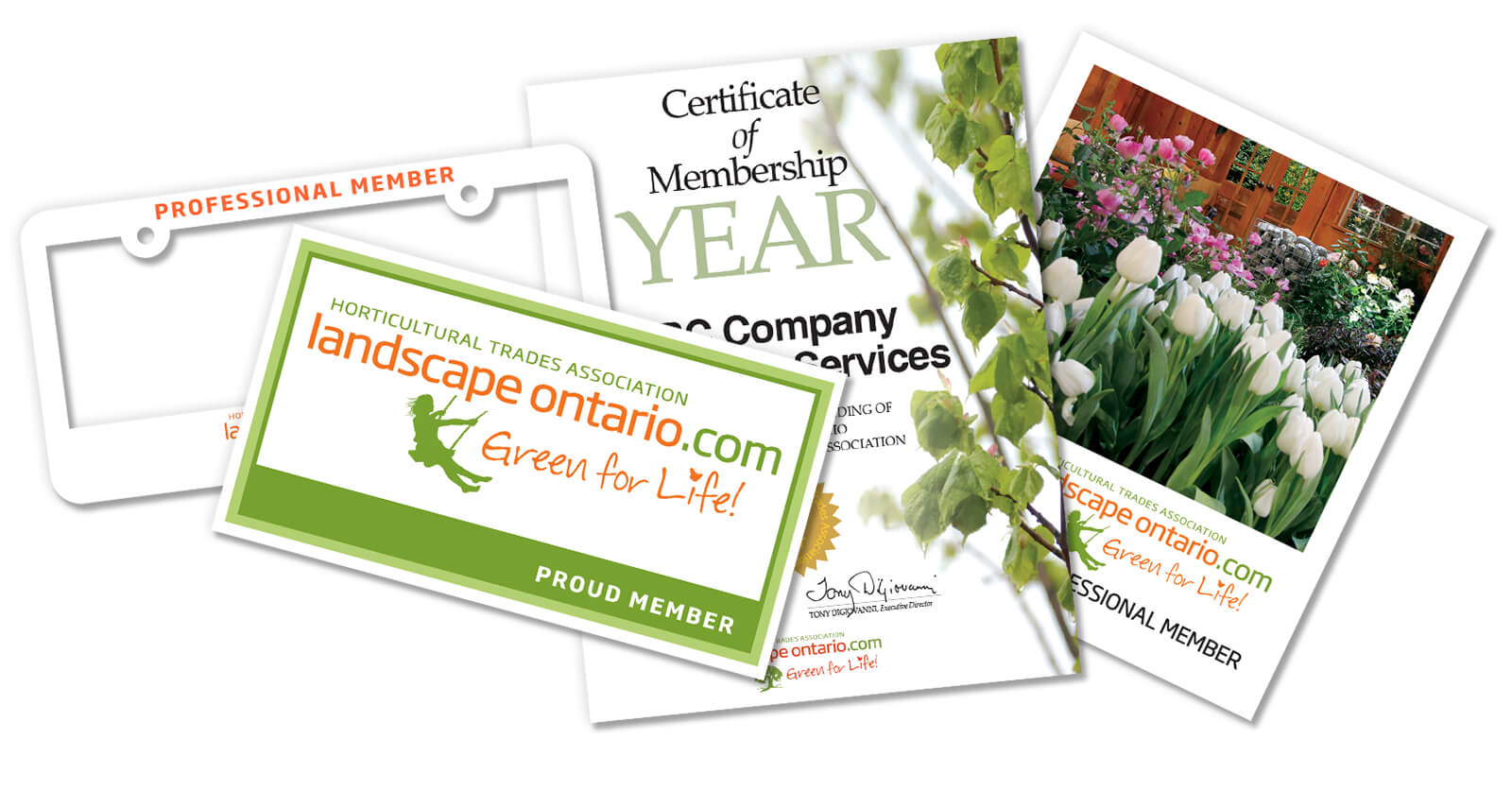 various promotional materials. decal, certificate, plaque