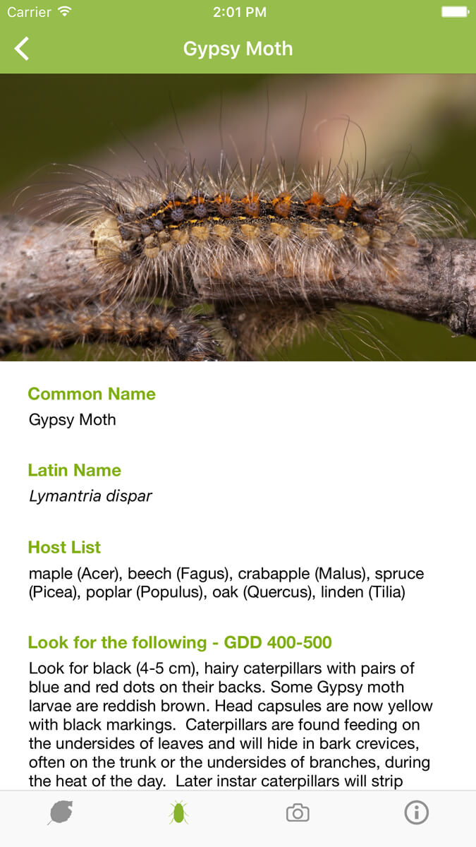 screen shot of bugfinder app