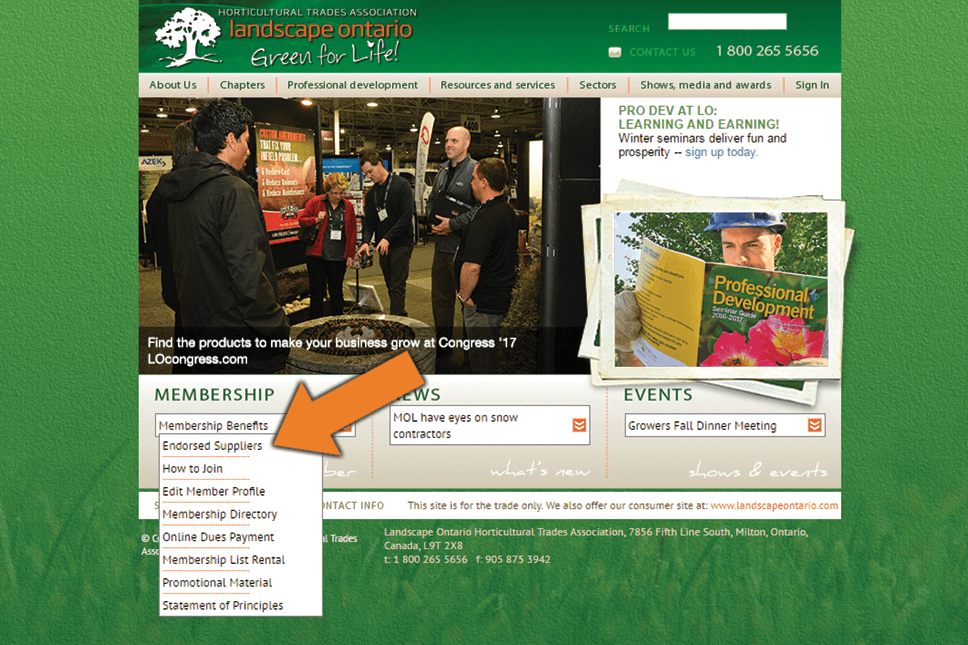 website menu capture
