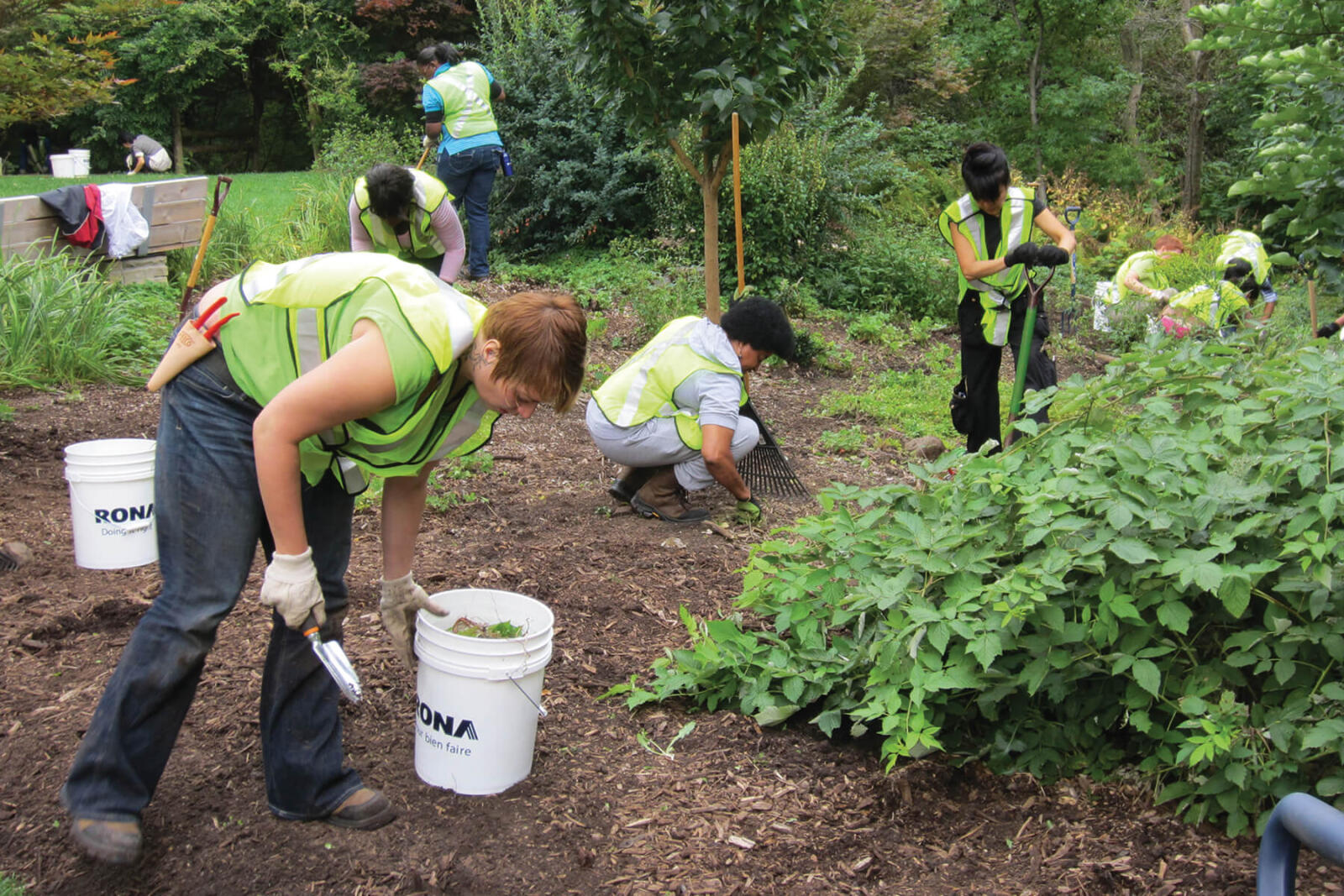 women working in a garden