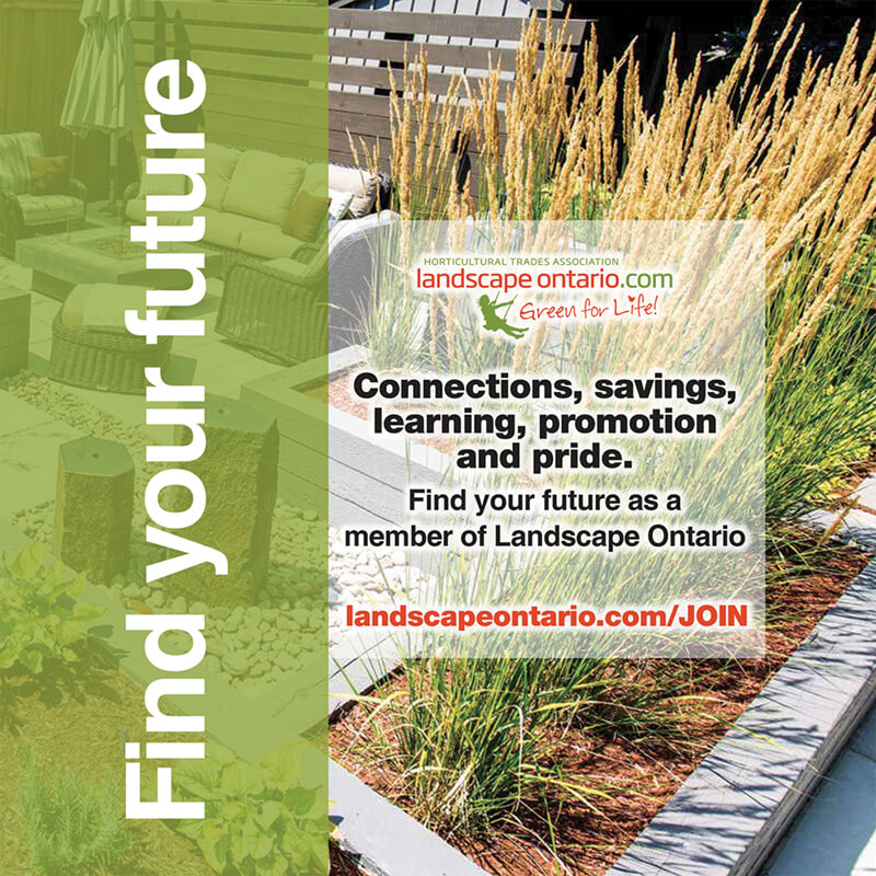 find your future brochure cover