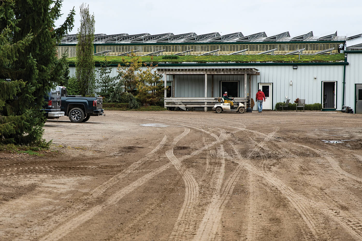 green roof on building in the yard
