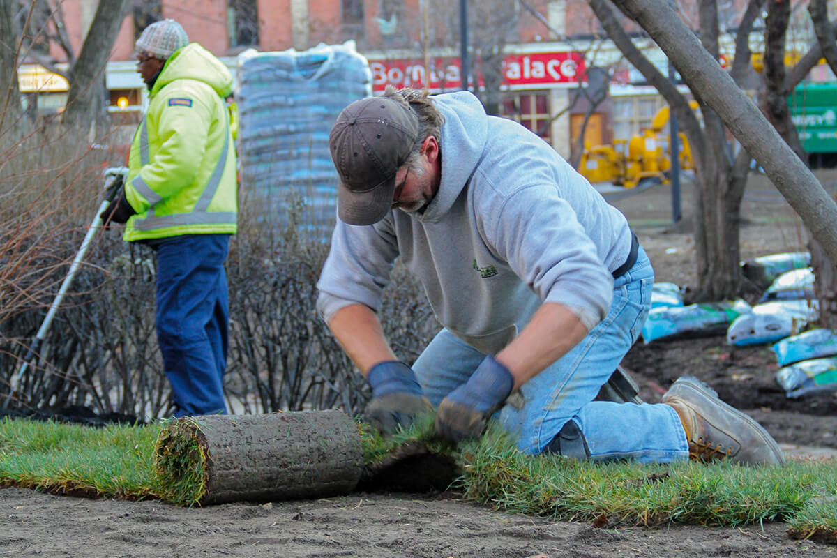 a worker laying sod in a community park