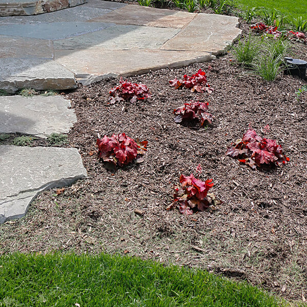 natural stone patio and small planting
