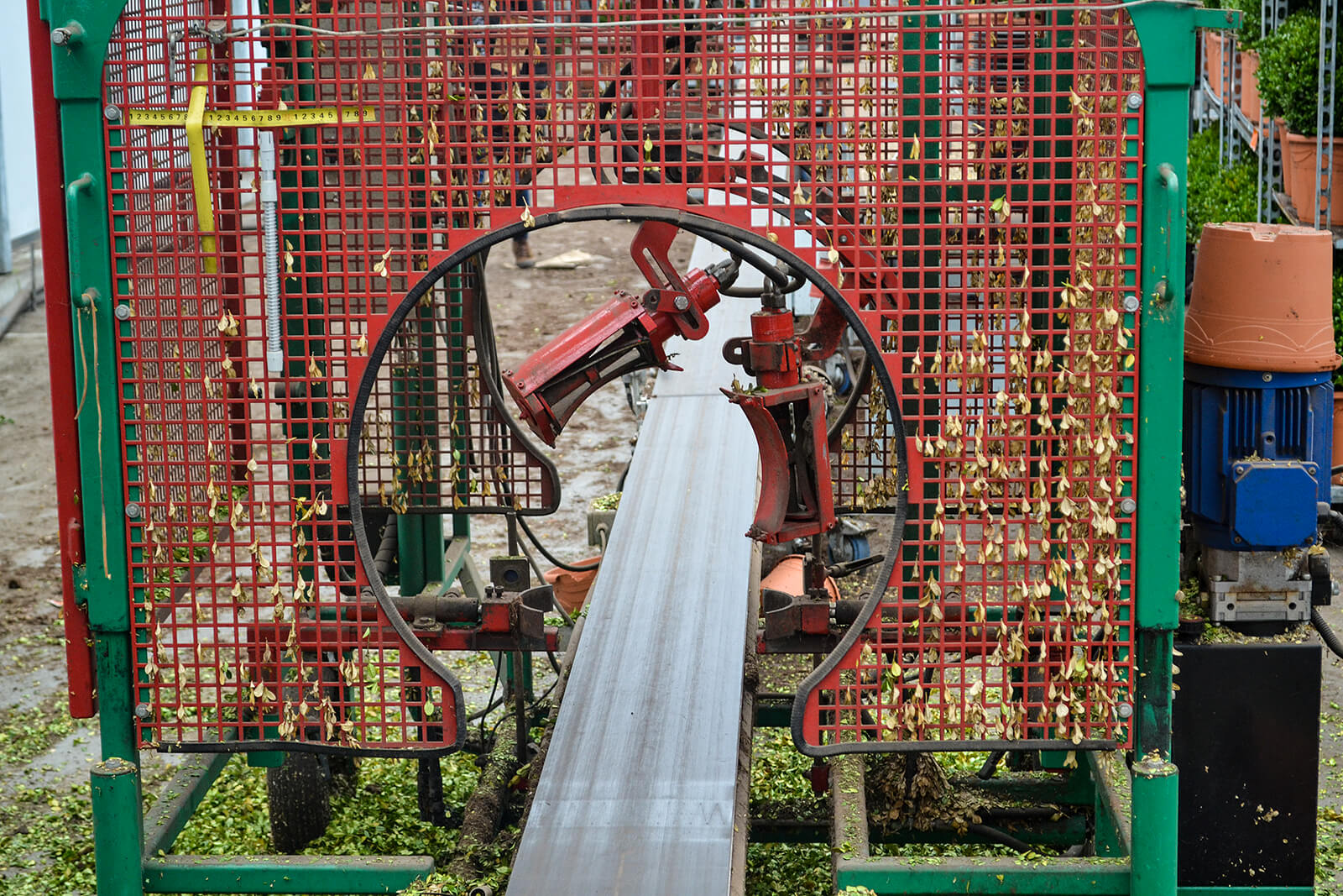 tree trimming machine