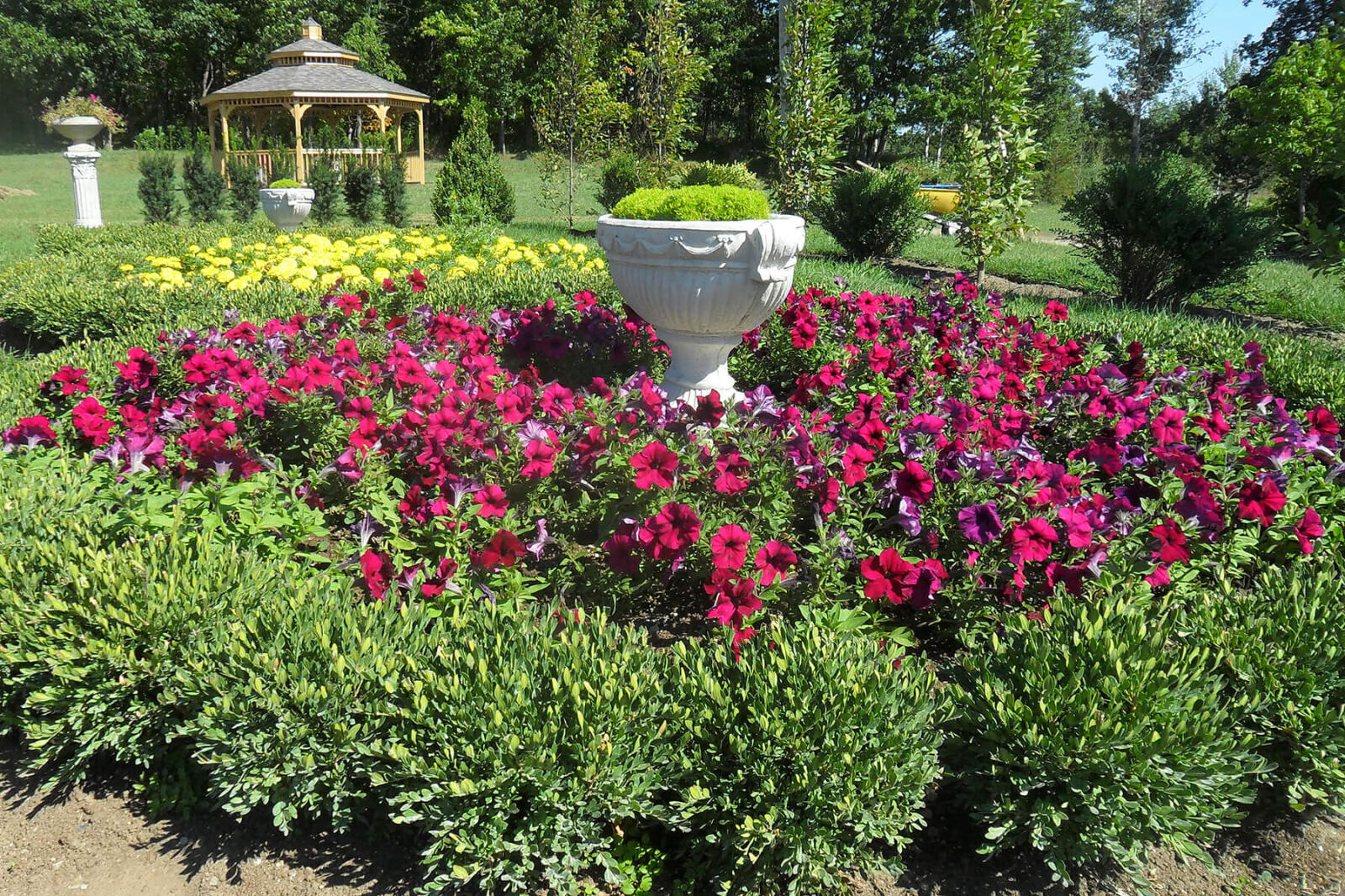 circular garden with boxwood, red petunius and a gazebo in the background