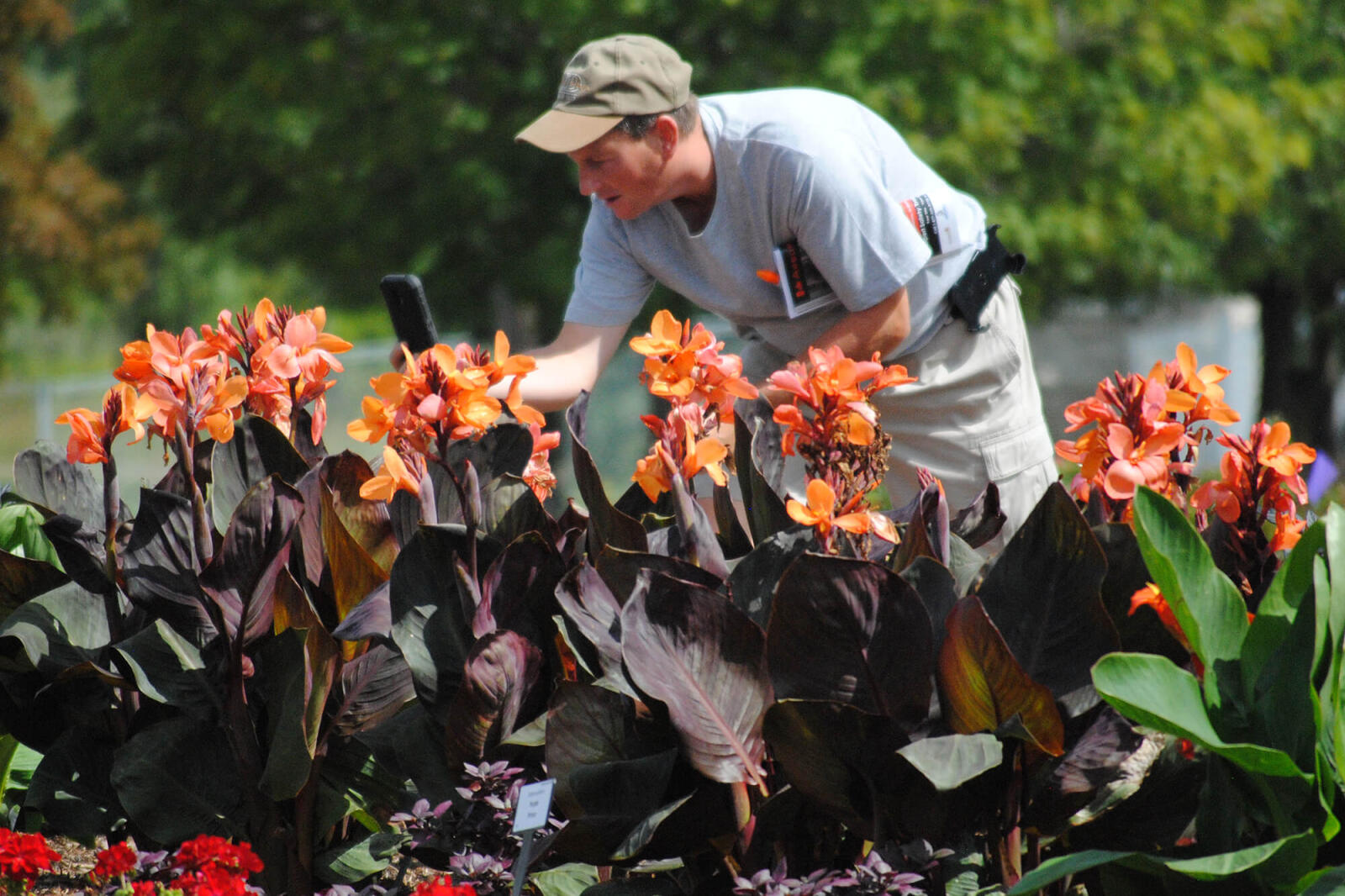 man taking photos of plants in a garden