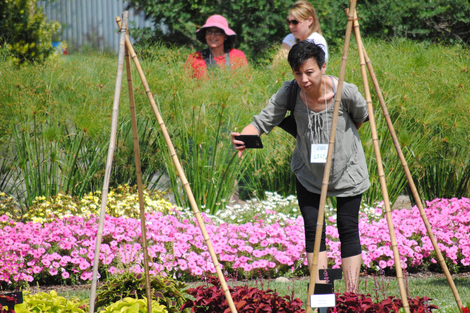 woman taking photos of plants in a garden