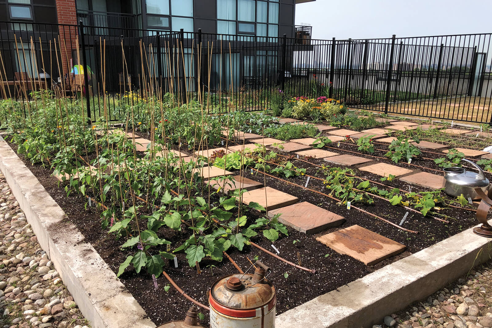 a raised rooftop urban garden