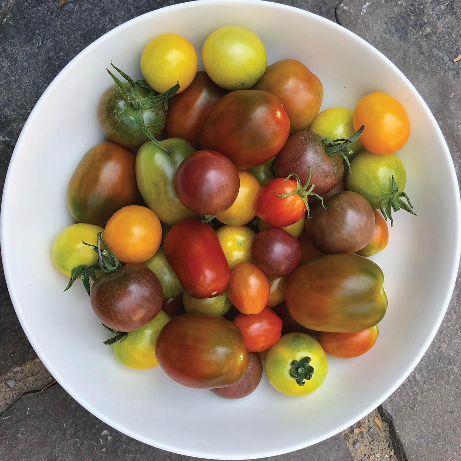 tomatoes in a bowl