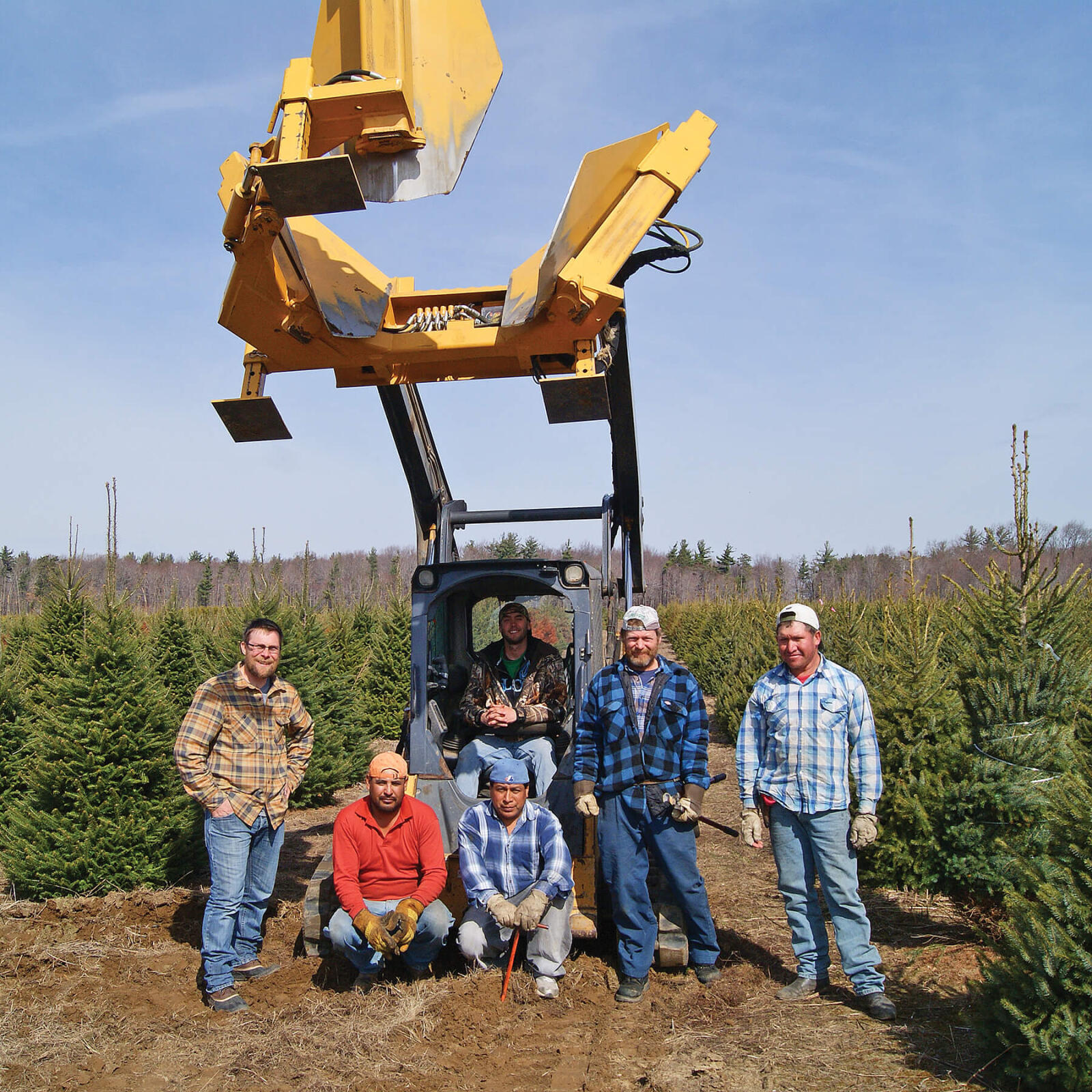 men standing in a field of evergreen trees around a machine