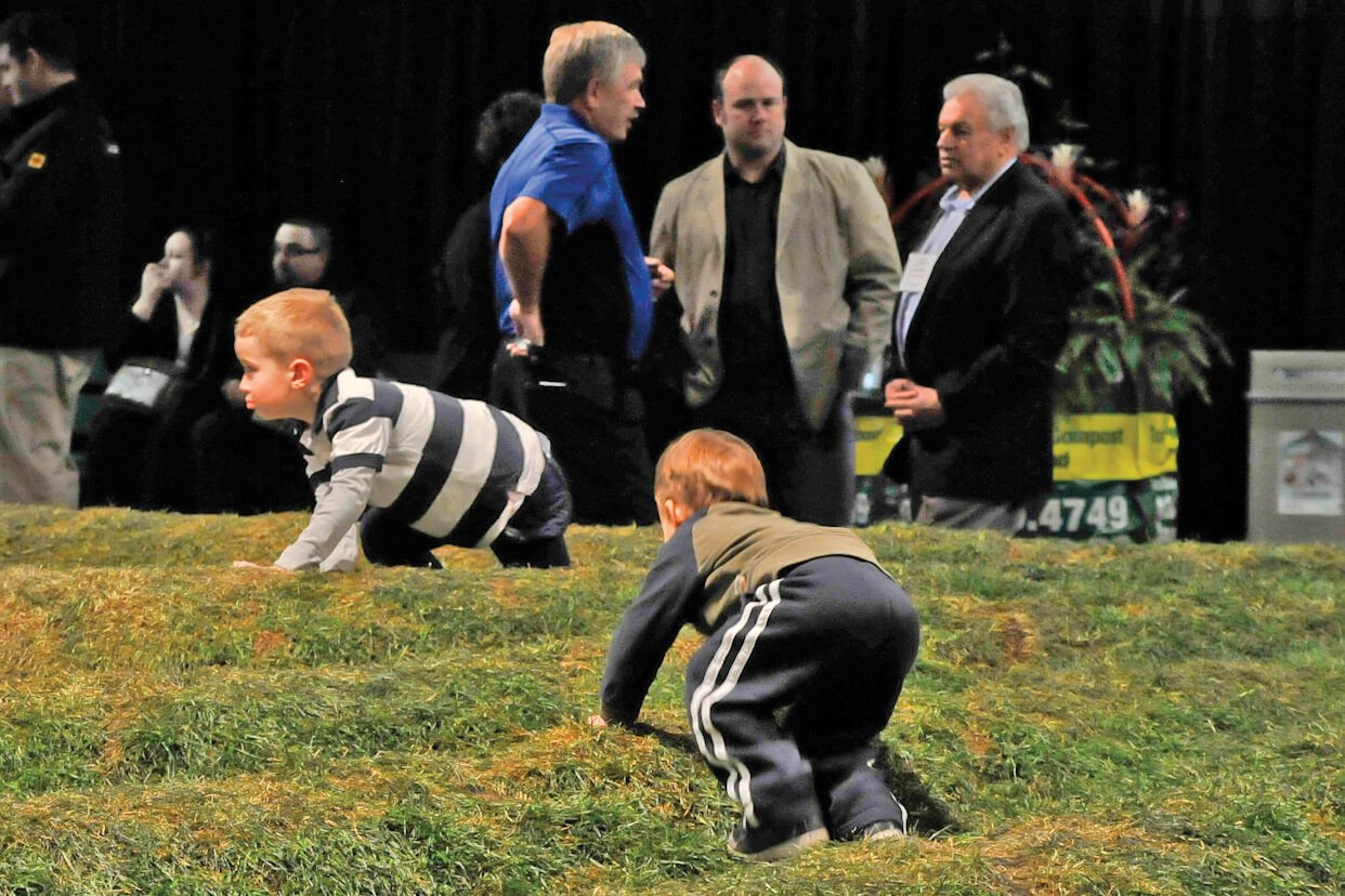 kids playing on mounds of grass