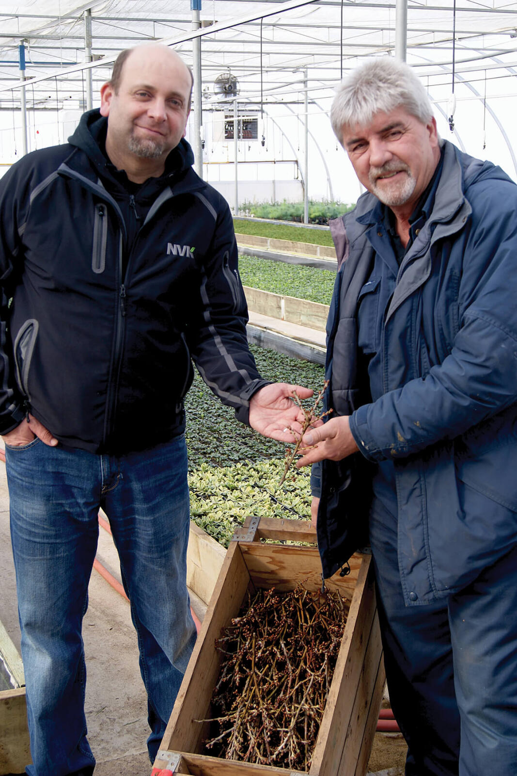 two men in a greenhouse wiht a crate of tree seedlings