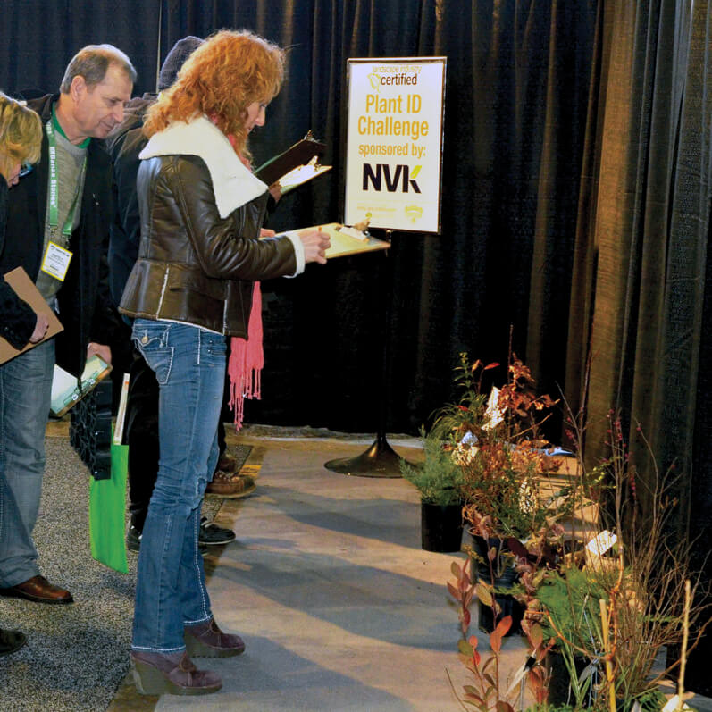 people identifying various plants