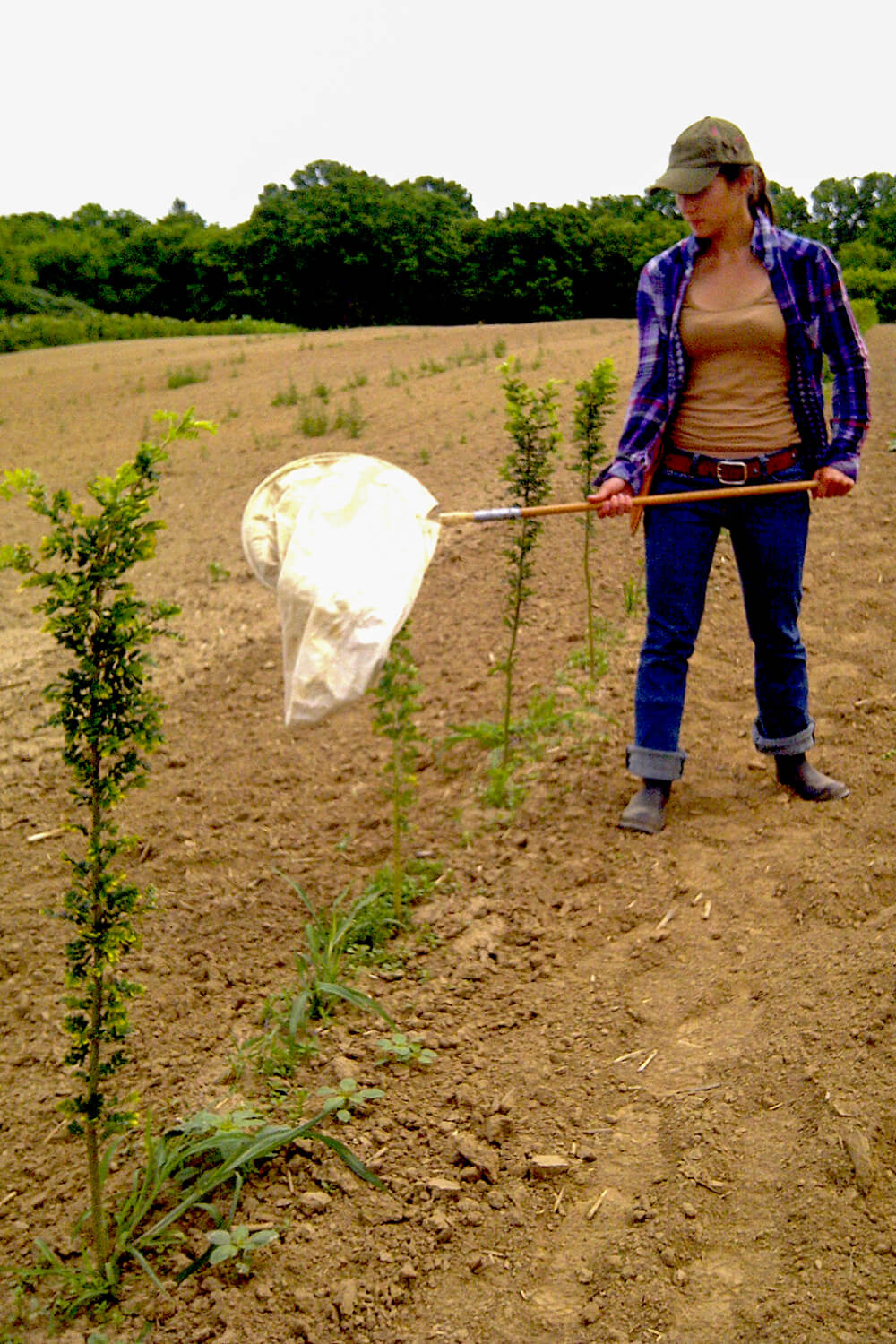 woman holding a butterfly net in a nursery field