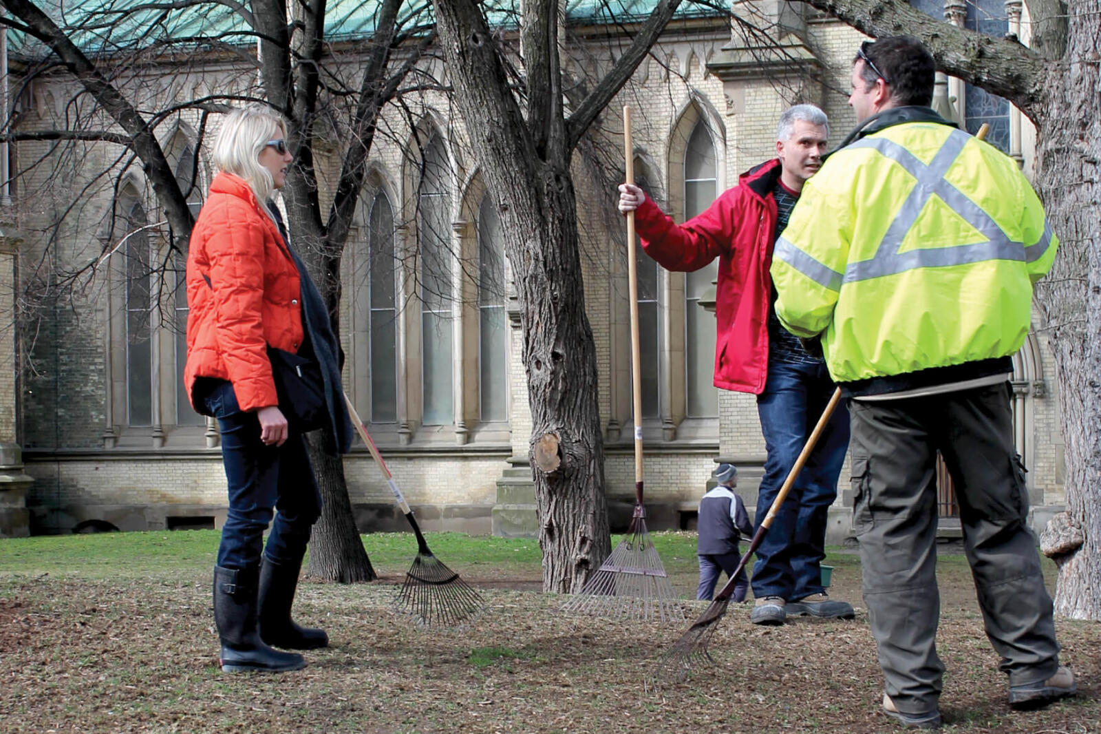 people raking in a park