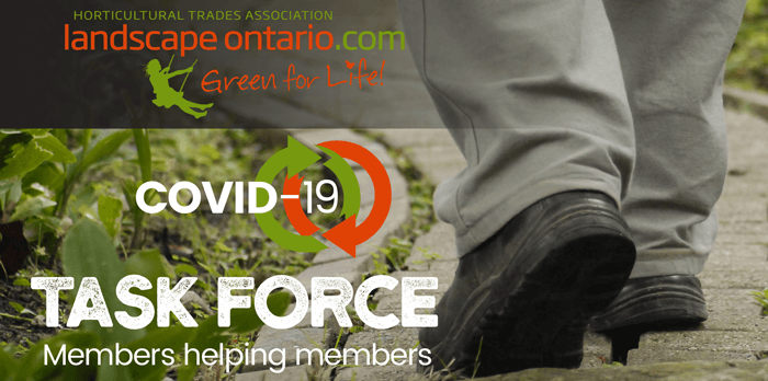 COVID-19 - Task Force