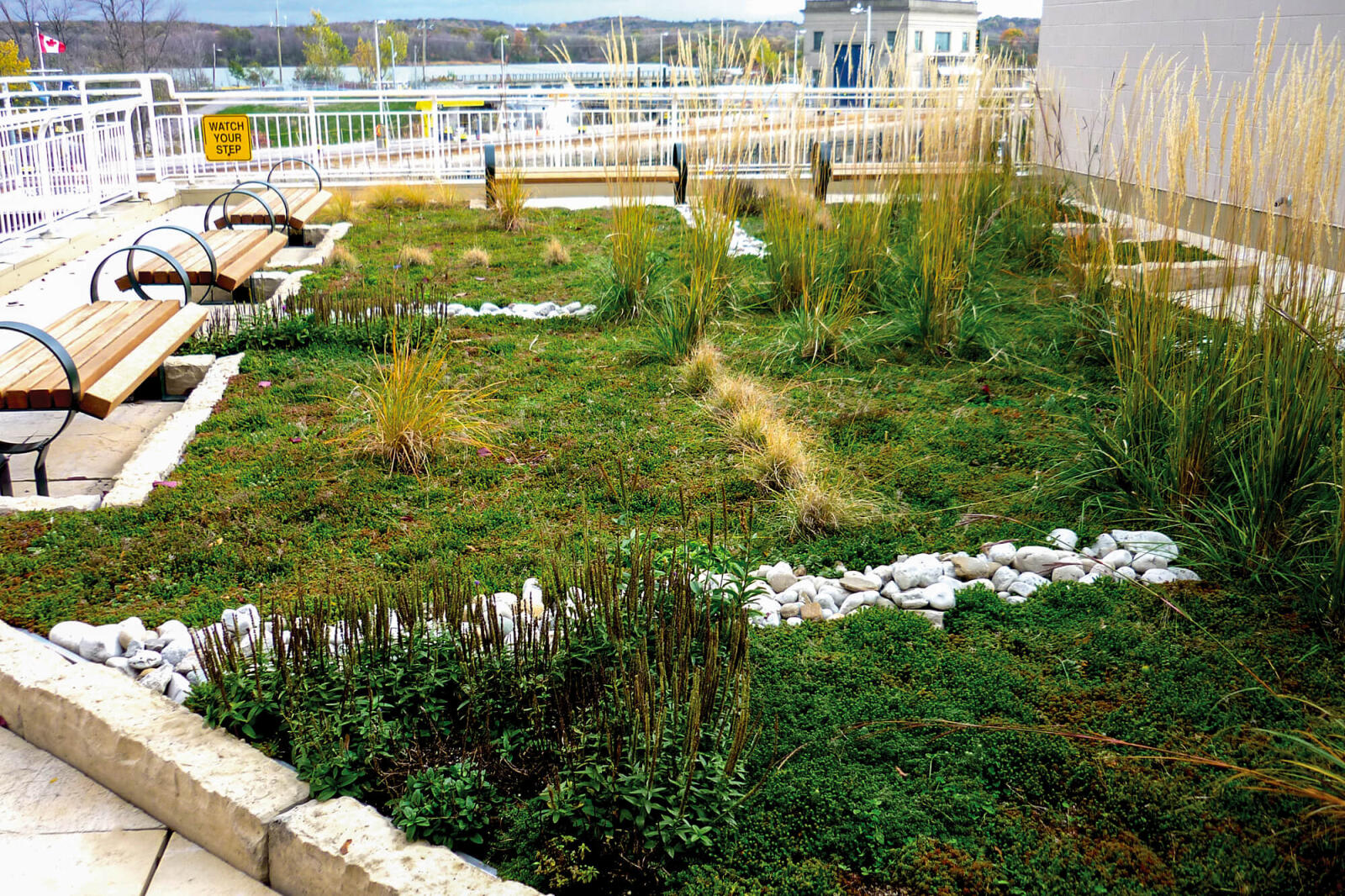 green roof landscape