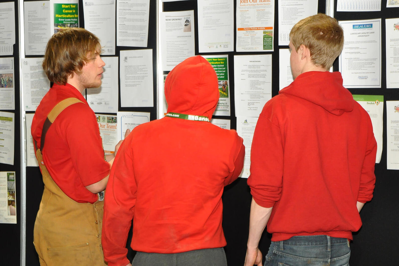 three students looking at a job board