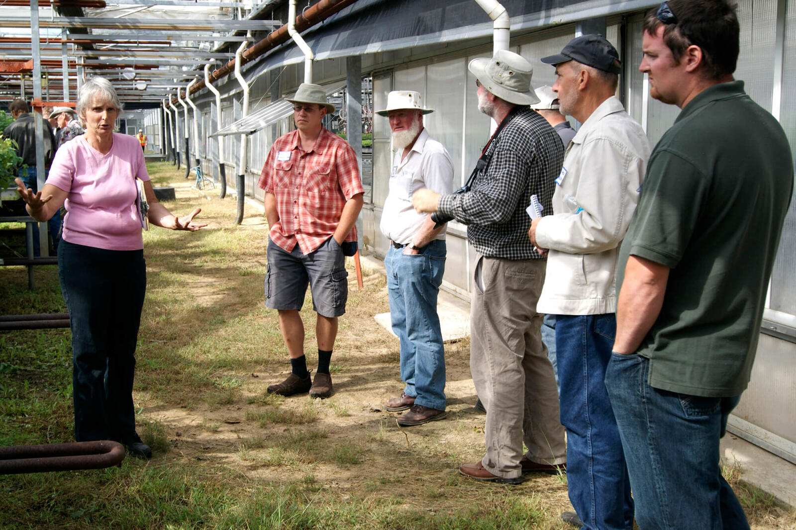 group in a greenhouse production facility