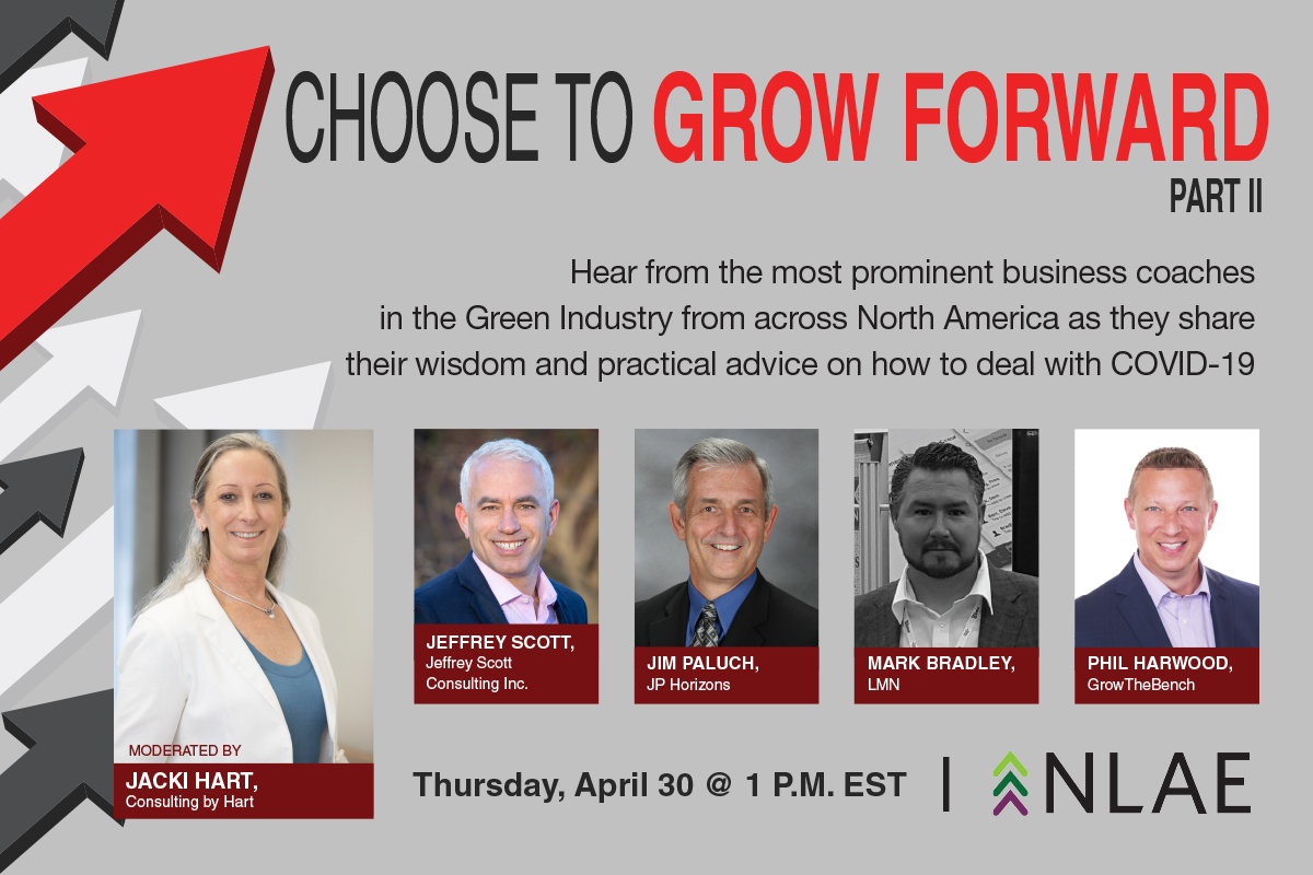 Webinar Series