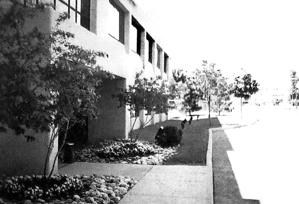 picture of a commercial landscape