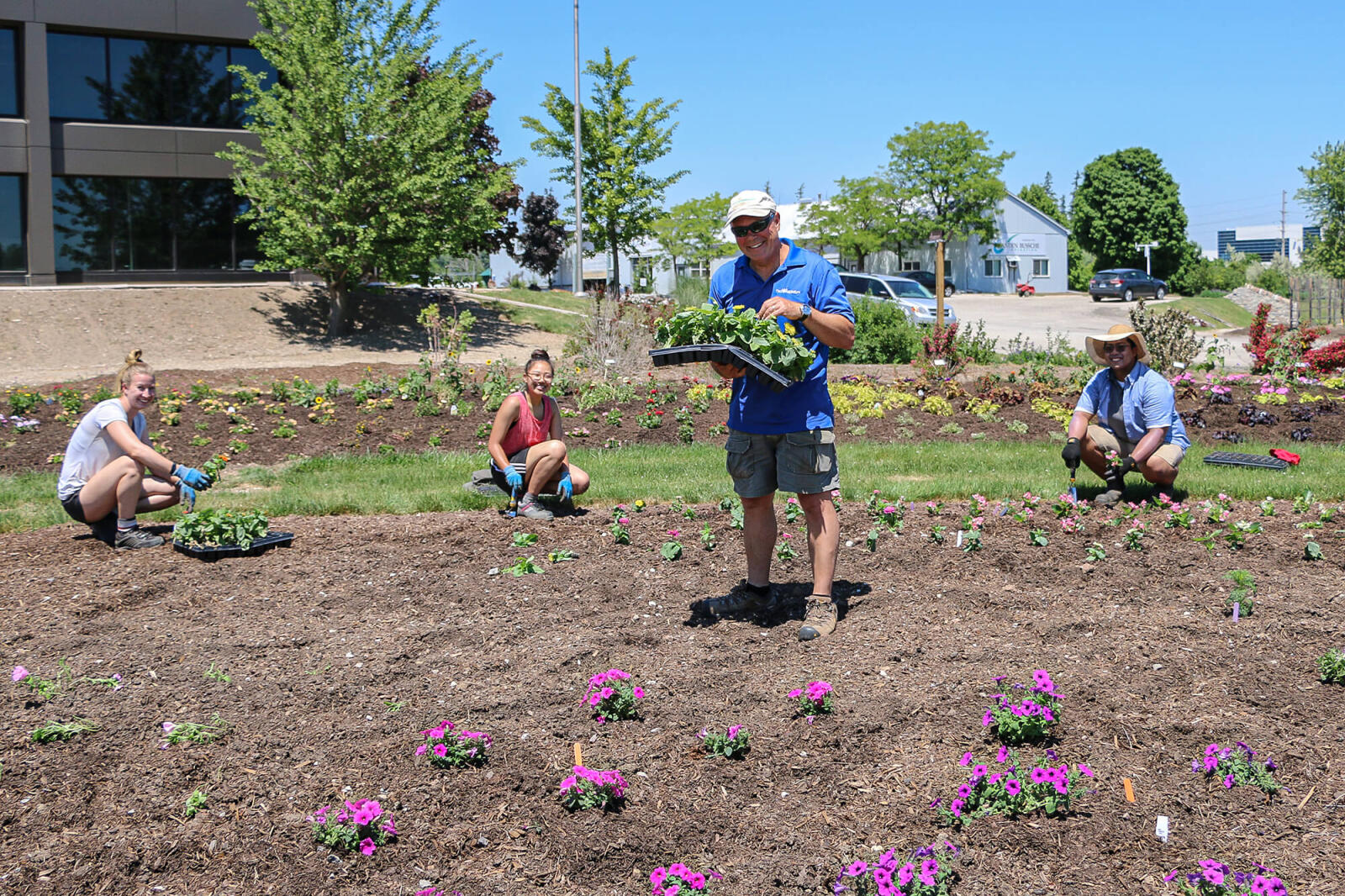 people planting a flower bed