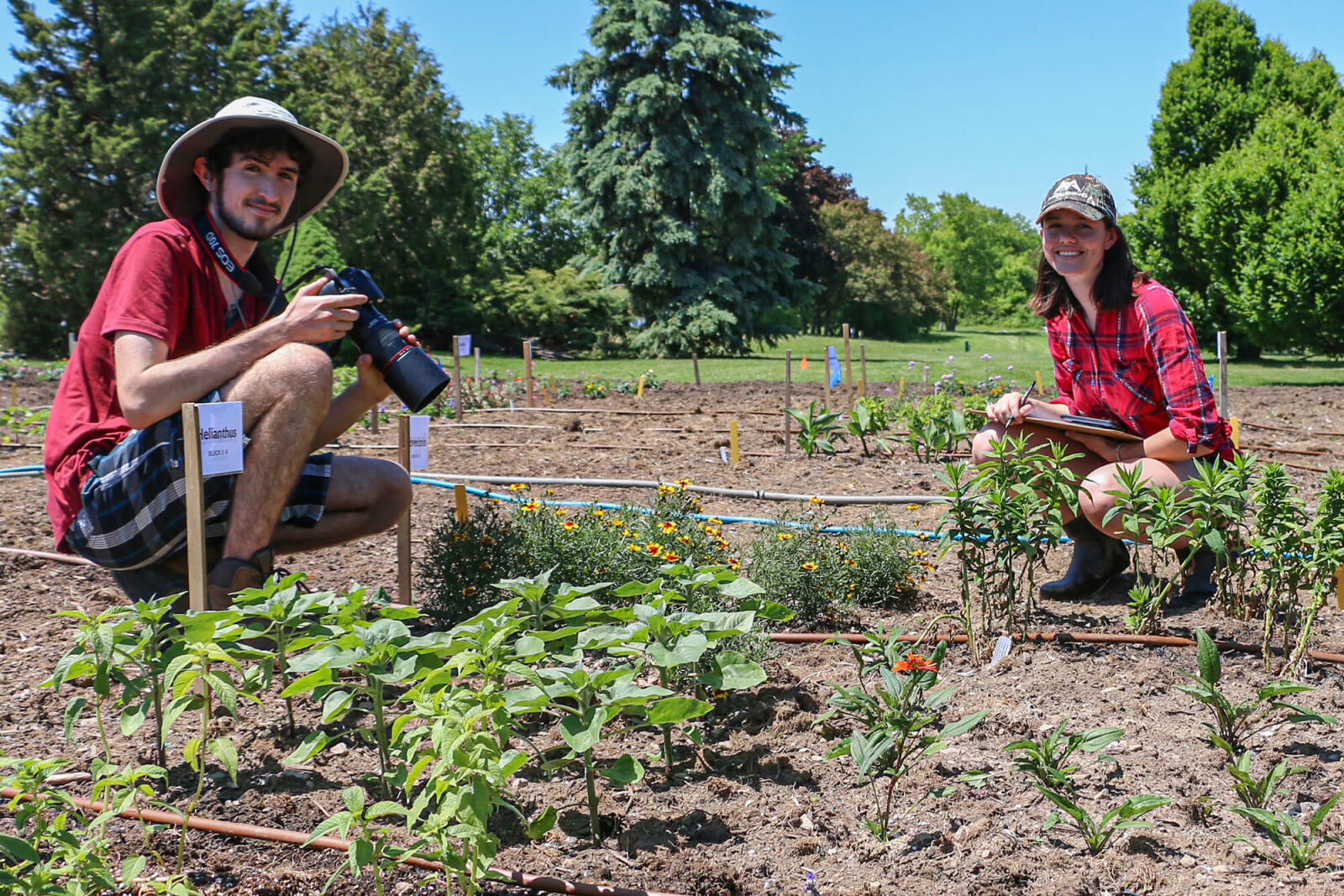 two students looking at plants for pollinatiors