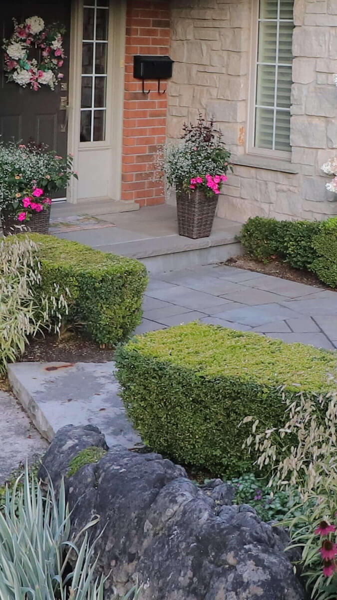 front entrance garden