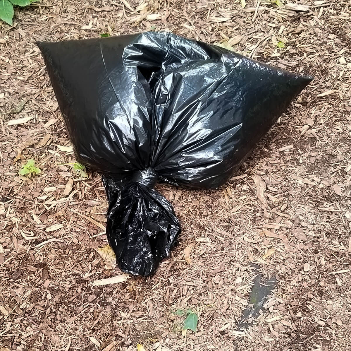bag lying on the ground
