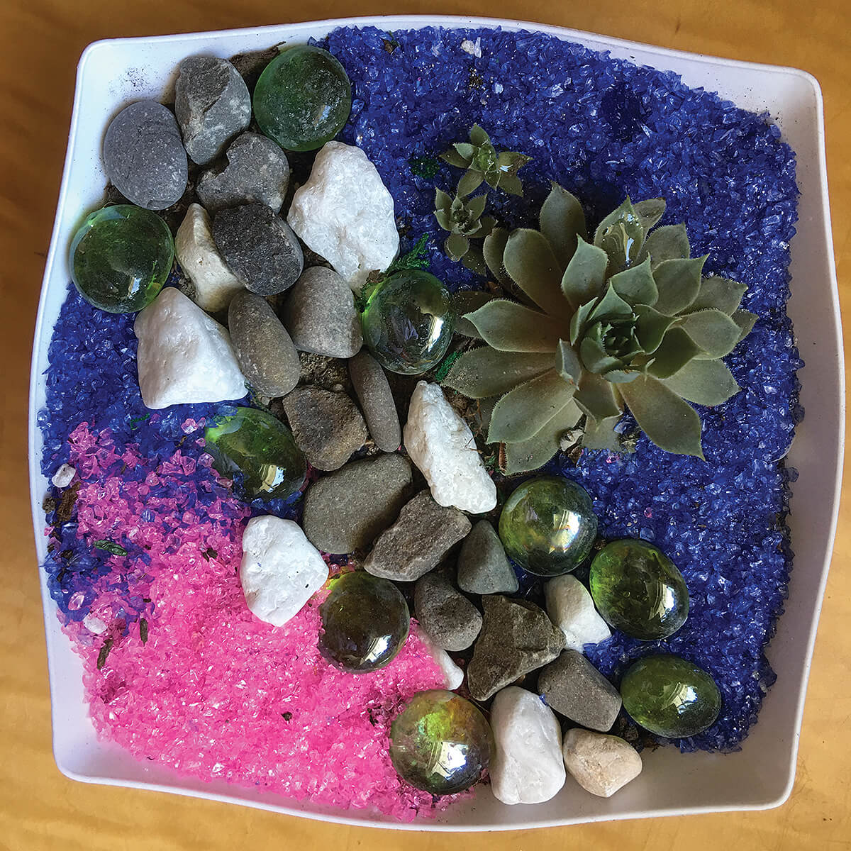 miniature landscape with a plant and rocks