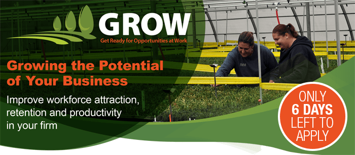 grow program header