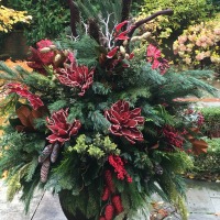 Tradewinds International