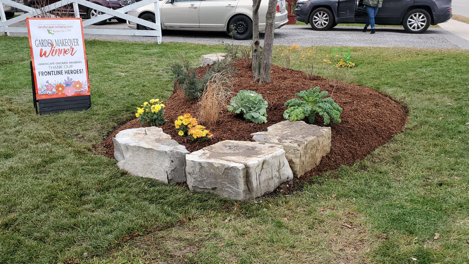 garden around a tree
