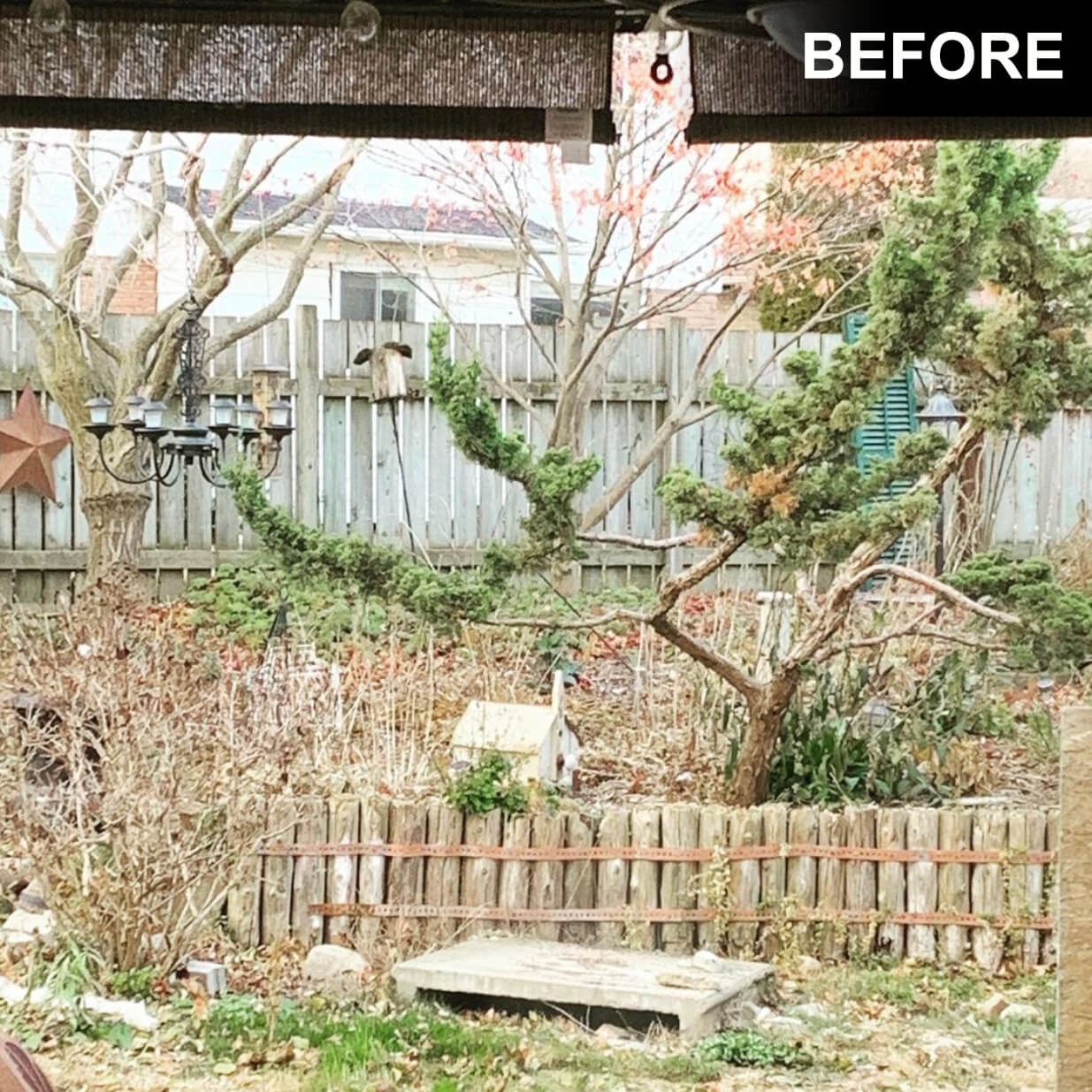 backyard garden in need of repair