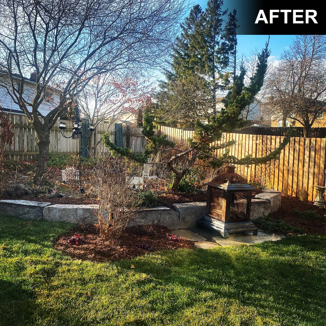 renovated backyard garden