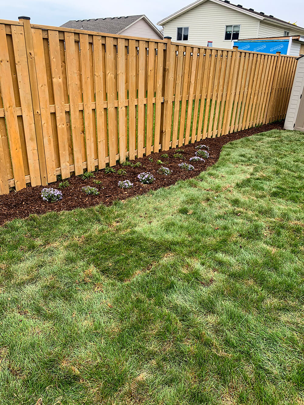 backyard garden and fence