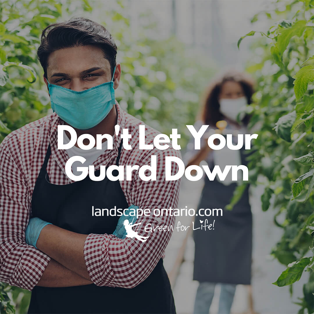 don't let your guard down
