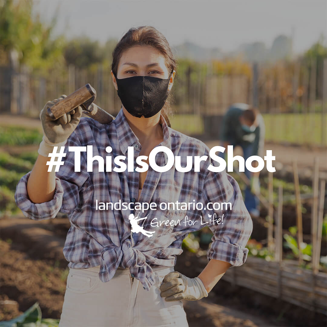 this is our shot