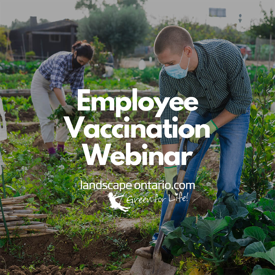 employee vaccination webinar
