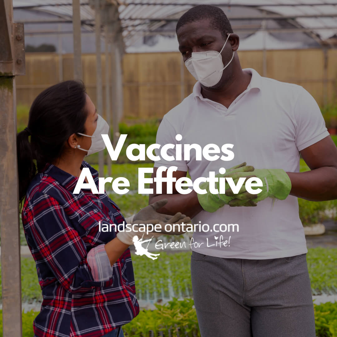 vaccines are effective