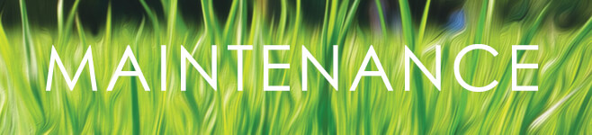 maintenance