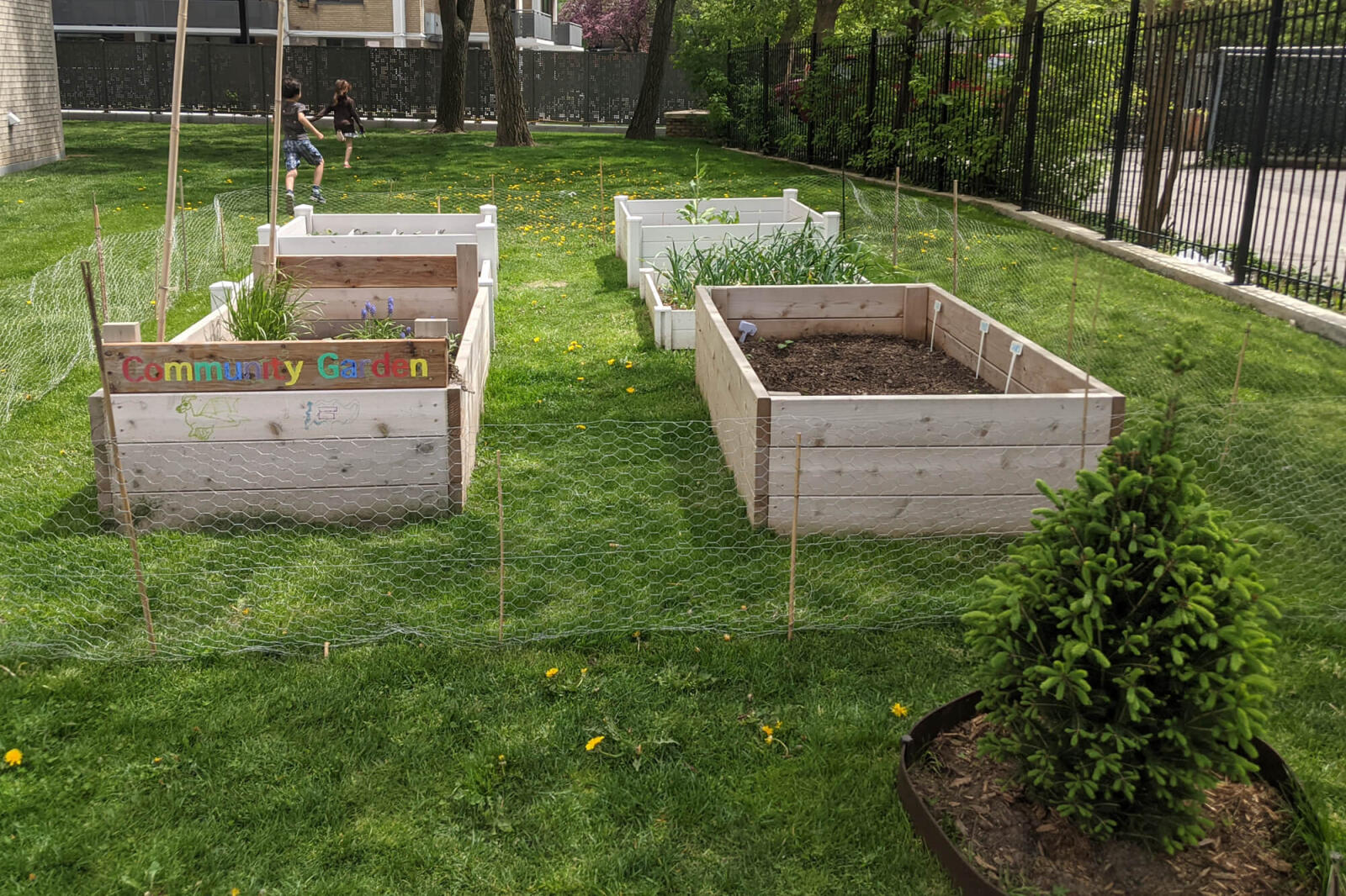 raised garden beds