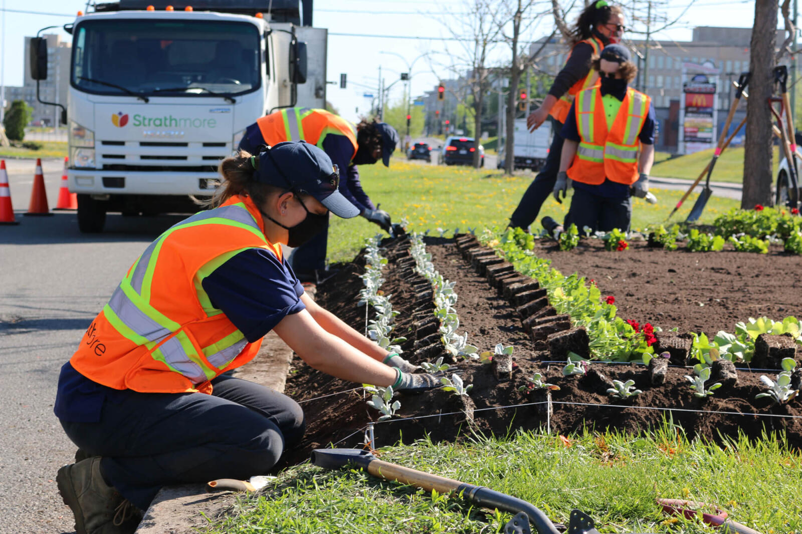 crew planting a bed