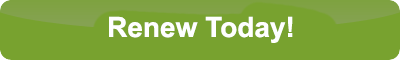 renew today